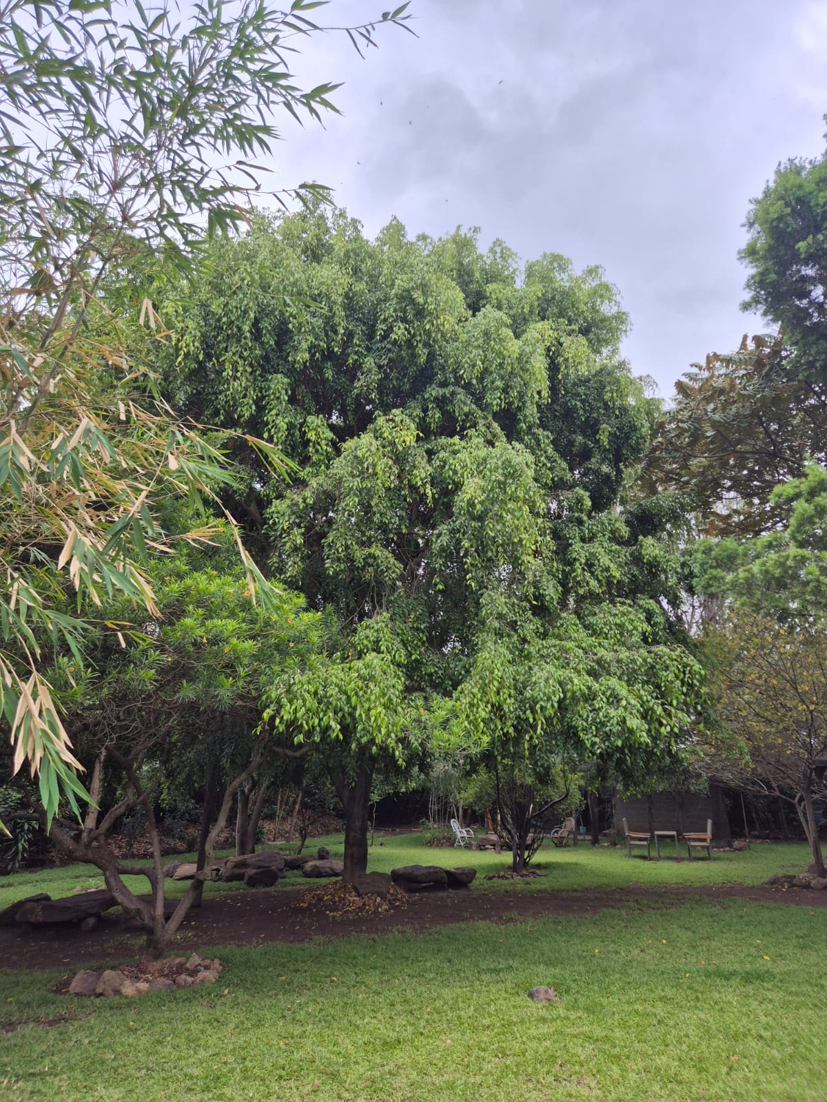 The garden at Merinja Guesthouse