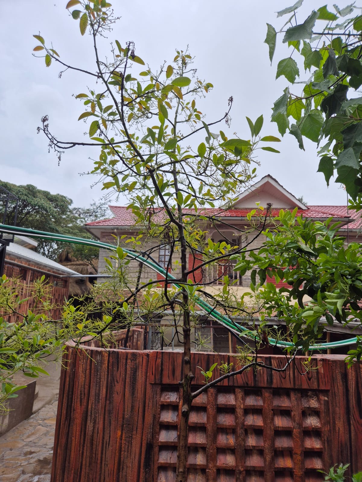 The guesthouse building