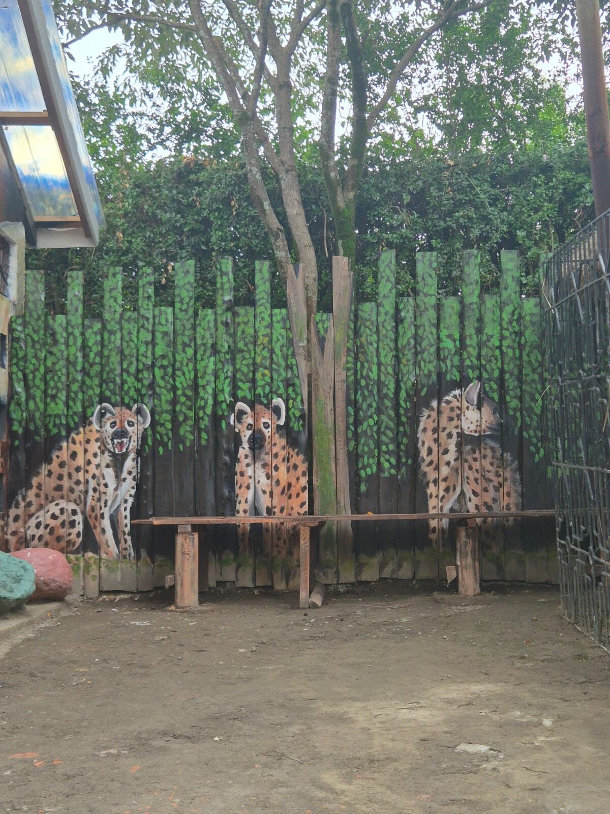 Hyena mural painted along the fence