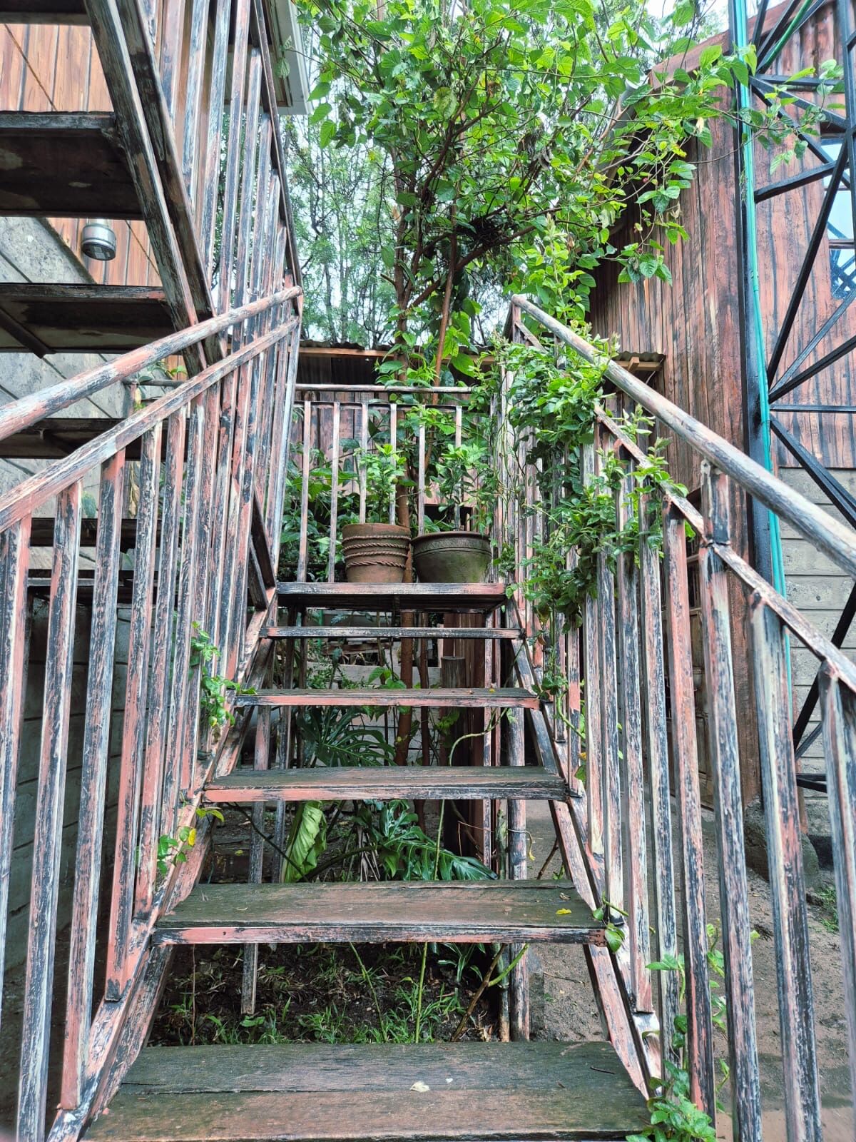 Rustic wooden stairs and balconies